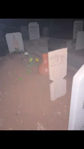 #Abimm  Rabim mekanını cennet eylesin abim nur içinde uyu 🥀