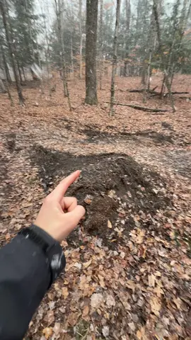 Let’s build a jump track for the E bikes!  #ebikes #tuttio #ebike #talaria #emoto 