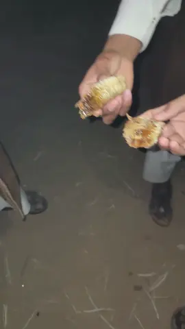 امانه على طعم يارجال قوه معاء البرد 💁🏻🙂 .  #اكسبلورexplore #تيام،ماربي #جبراتت📮_ #تصميم_فيديوهات🎶🎤🎬 #الشعب_الصيني_ماله_حل😂😂 