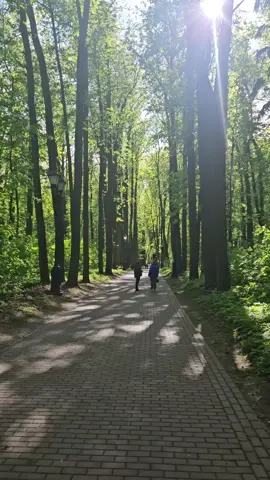 #fyp #الخالرامز #life #foryou #sovenir 