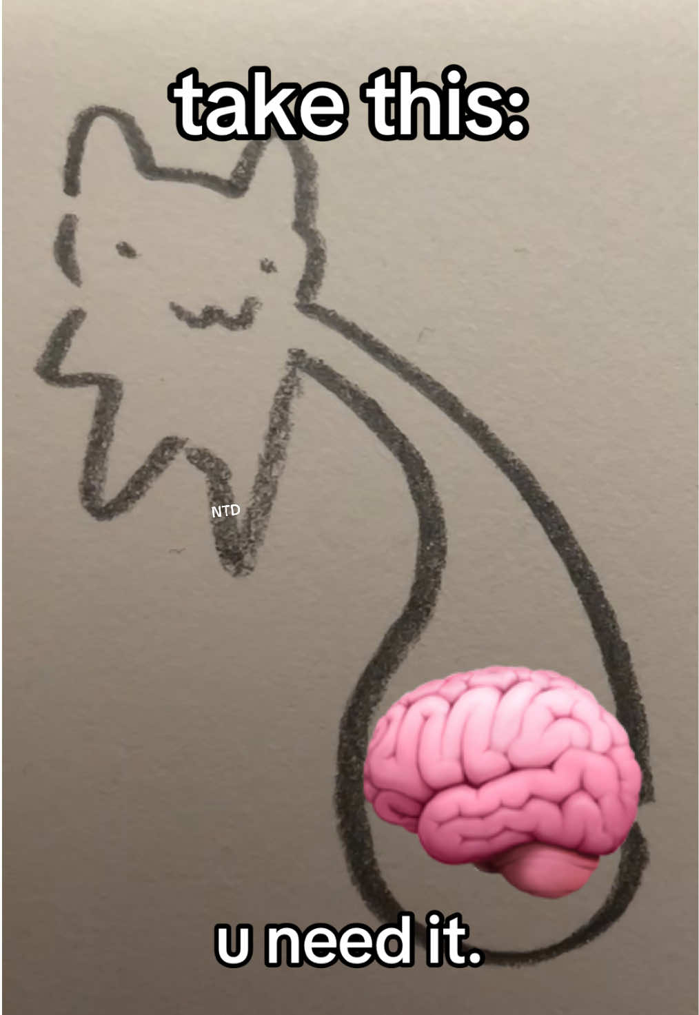 real #foryou #art #doodle #fyp #cat 