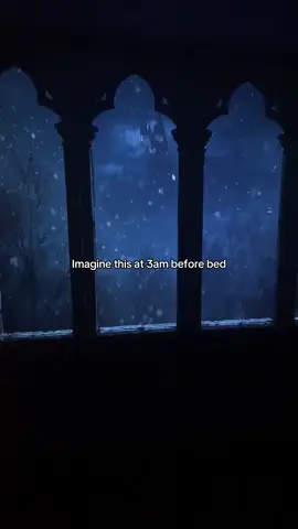 The perfect christmas gift😍😍 #projector #fakewindow #viral #christmasgiftideas