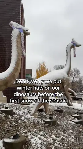 Indiana; warm one day, freezing the next. At least our dinos are cozy #indiana #indianaweather #snow #snowing #firstsnow 