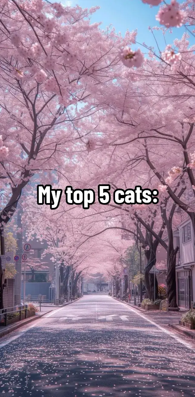 Delta (デルタ, Deruta?) (Δέλτα), born as Sara (サラ, Sara?), is the fifth initial member of Shadow Garden and the fourth seat of the Seven Shadows. Primarily dispatched for combat missions, she frequently undertakes assassinations or military campaigns that necessitate overwhelming force. Delta's assignments avoid anything that requires intelligence. Delta is a young female wolf therianthrope with large canine ears and a fluffy tail. She sports purple eyes with vertical slit pupils that become circular when happy.[ANIME ONLY][7] Retaining an athletic yet curvaceous build, Delta's body possesses chiseled muscles and well-defined contours. In her daily life, she wears a dark suit with long-sleeved clothes around her neck and opens in her stomach, a pair of gloves, shorts combined with stockings, and a pair of shoes. Often times, Delta will wear a variation of this trend with different materials but always wears something to accentuate her athleticism and form. But some exceptions occur, such as in winter helping Cid dig for Gettan's buried treasure. When serving in the Shadow Garden, she wears the customary slime bodysuit with black and gold decorations, but with the individualized accessories of fur adornments at the collar, wrists, and ankles. Delta's top has the basic dark attire with twin vertical gold lines running up the central third of her torso before joining two violet gems accents. The gems fall in line where another gold lining traverses her upper pectoral outline above her bust, with gold shoulder pads connected to the gems. Her shoulders have a slight bagginess before connecting to two gold rings where her deltoids meet her arms in regular black sleeve, connecting to standard cestus around both of her forearms and black gloves. Her top is wrapped around the diaphragm by a slight belt where the seam splits underneath to reveal her abdomen. Her lower half is dressed in leggings with lighter black which has straps from both edges of her lower abdomen wrapping around her hips to the back, resembling short shorts. Her upper thighs have a gold ring each where the leggings get darker going further down the limbs, with a gold diamond shape a few centimeters down the center fold on both legs from the gold rings. Down the legs past the fur accents on her ankles, Delta has a pair of gold chevrons pointing up her feet. Delta's tail has a thick gold ring with an inlaid division around the center at the base of her tail, and a matching ring towards the end of her tail, with an ornament of two bells and a tassel ribbon at the end. In the game and light novel, Delta wears a gold laced gem on both hips of her trouser line. In the light novel, there are more detailed grooves on her leggings as well as a trio of belt wraps on both arms around the biceps/triceps. In the manga, she sometimes she wears a mask to protect her original identity. #cats #delta #top #theeminenceonshadow