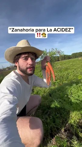 Zanahorias 🥕 #remediosnaturales #acidez #acidezestomacal 