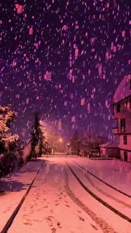 #NA #creatorsearchinsights يأتي بها الله ان الله لطيف خبير 