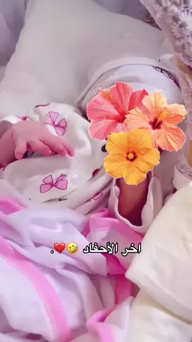 #ماشاءالله_تبارك_الله #تبارك_الله 