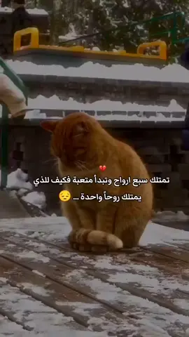 #تحياتي_لجميع_المشاهدين_والمتابعين 