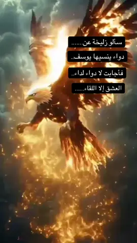 #اللقاء دواء العشق#اقتباسات_عبارات_خواطر #schyar #fyp #