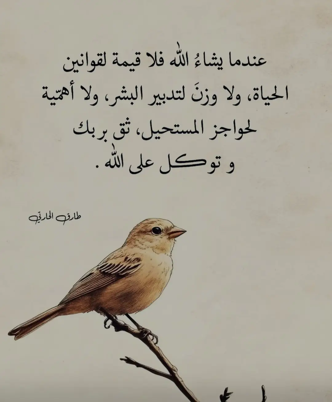 سبحان الله واللحمد لله ولا إله إلا الله والله اكبر ☝🏻🤍 لا حول ولاقوة الابالله العلي العظيم ☝🏻🤍 استغفر الله العظيم واتوب اليه ☝🏻🤍