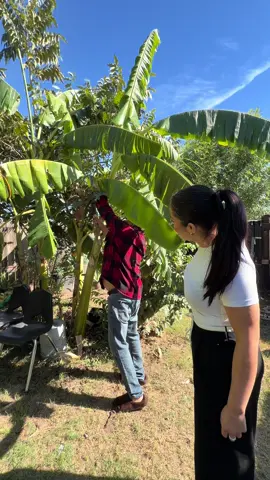 Nos venimos a cortar hoja para tamales #fyp #katyjosselyn #Vlog #parati #houston 