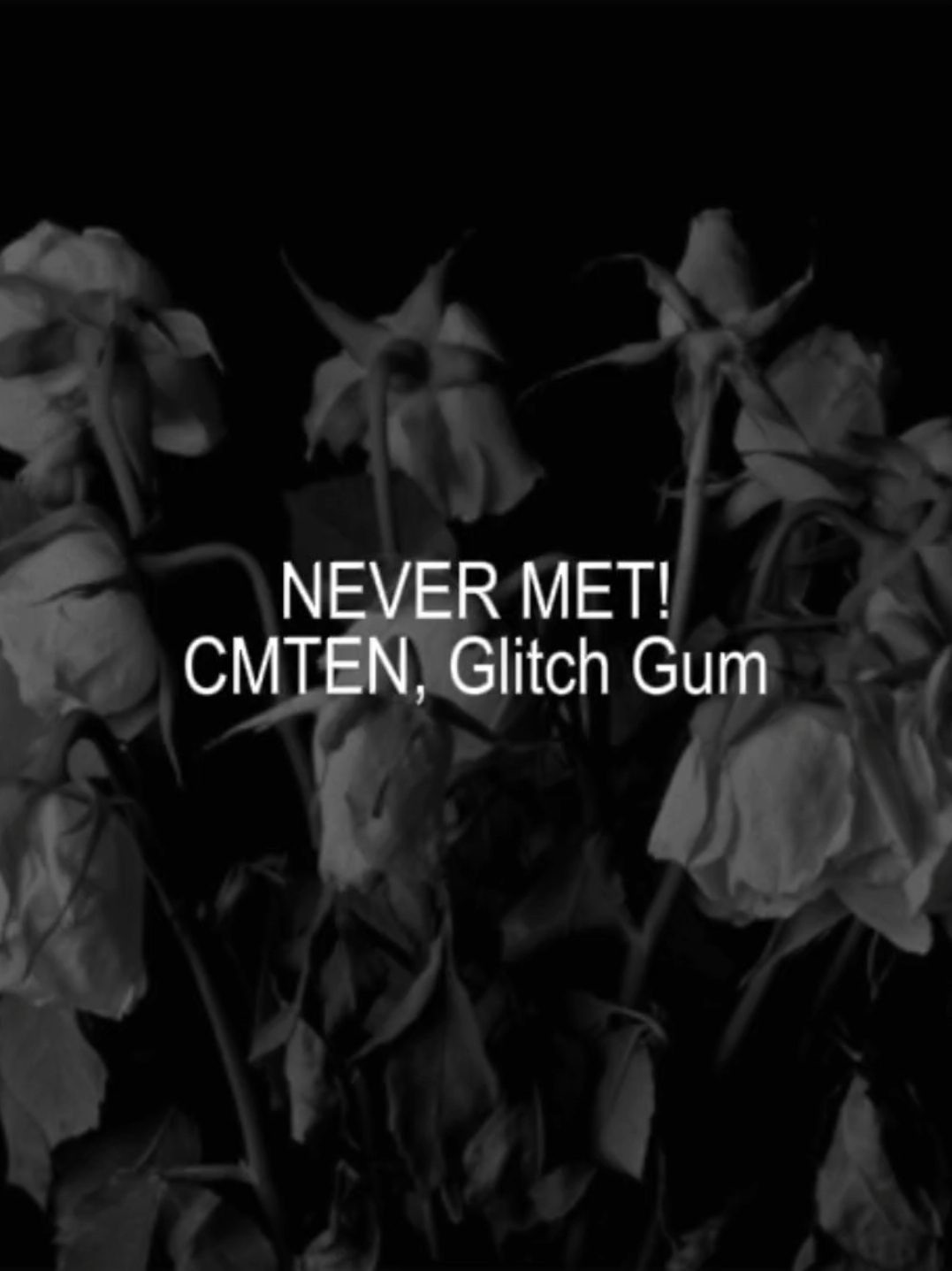 queria nunca ter te conhecido. || aviso de flash!! #songlyrics#viral#foryou #nevermet#naoflopa