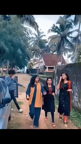 follow and like for more husky dance video 🤗 #fyp #huskydance #trending #goodvibes #funny *