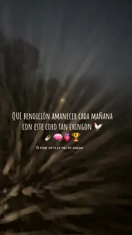 #paratiiiiiiiiiiiiiiiiiiiiiiiiiiiiiii 