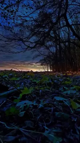 اللهُم صلِ على مُحمد والـِ مُحمد🤎. ـ ـ ـ #اللهم_صلي_على_نبينا_محمد  #اللهم_عجل_لولیک_الفرج َ َ . . . #foryoupage #viral #fyp 