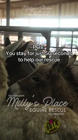 21 days left to move mountains 10,801 dollars to go. That’s less than 1,100 people chipping in 10 dollars❤️