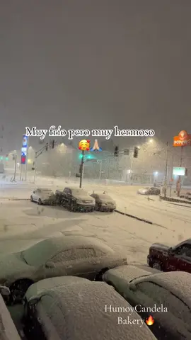 Primera nevada del año🥰 #nevada #delaño #amo   Muy frío pero muy hermoso✨🙏🏼