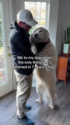 Hugs are very impawtant. Learning is overrated. #funnydog #cutedog #greatpyrenees 