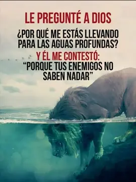 A veces uno se pregunta: 👉 “¿Por qué me tocó este proceso tan difícil?” 👉 “¿Por qué parece que todo cuesta el doble?” Y sin darte cuenta, la vida te está entrenando. Porque los que sostienen, los que guían, los que aman con profundidad… no se forman en aguas tranquilas, sino en las que te obligan a aprender a respirar distinto. 📌 En el trabajo, la presión te forja. 📌 En la familia, la adversidad te enseña. 📌 En la pareja, la incomodidad te revela. 📌 En la vida, todo eso te prepara. A veces no es castigo, es estrategia. La vida te lleva a lugares donde tus miedos, tus enemigos o tus viejas heridas no saben nadar. No temas al terreno difícil. Si estás ahí, es porque ya tienes dentro la fuerza para atravesarlo. 💬 ¿Qué “agua profunda” te cambió y te hizo más fuerte? #VidaReal #Resiliencia #Trabajo #Familia #Pareja  