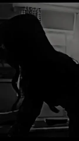 #على_مودك_انت_وبس#تصميم_فيديوهات🎶🎤🎬 #اكسبلور 