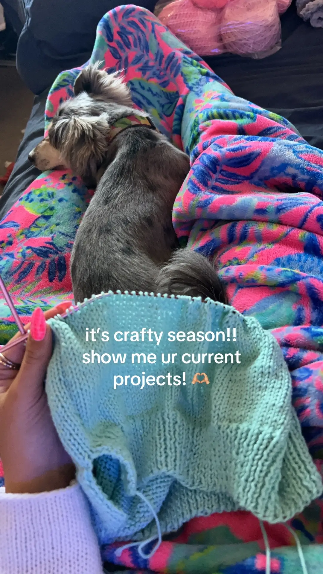 Hot girls have grandma hobbies #knitting #knittok #hobby #grandma 