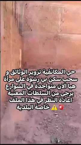 #Algérie #sig #oran #alger #sétif___19 #barigou #pourtoi 