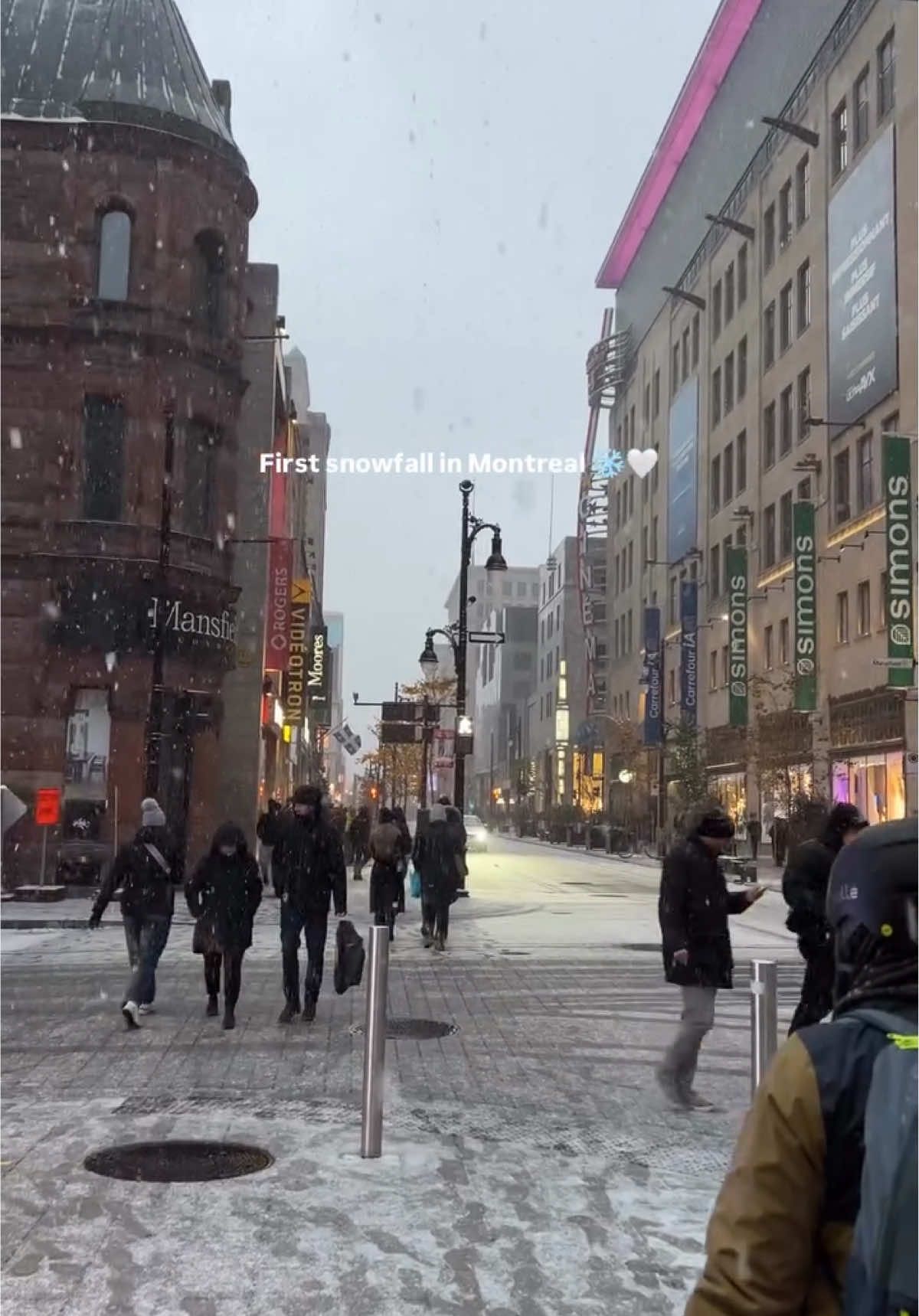 Winter in Montreal, we missed you ❄️✨ . . . . . . #snow #snowday #snowwhite #winter #montrealwinter     