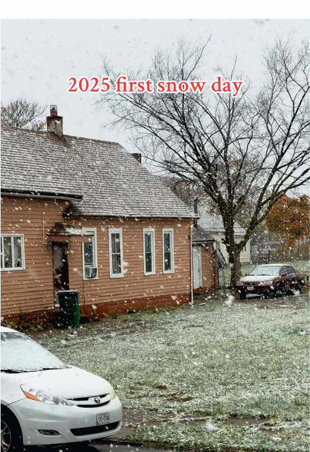 First snow day…☃️…everything looks soft today ❄️✨”#snow #usa_tiktok #2025snow #buf#buffalonewyorkpシ゚viral 
