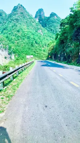 Sách mông lên và đi nào