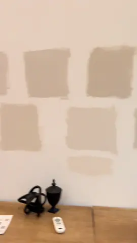 When you have to decide what color to paint your entire house 😵‍💫#paint #sherwinwilliams #benjaminmoore #whatsgoingon #nickiminajchallenge 