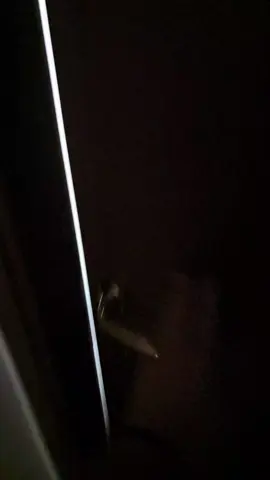 quando la tua amica e ancora piu scema di te 🤣🤣🤣🤣🤣🤣🤣