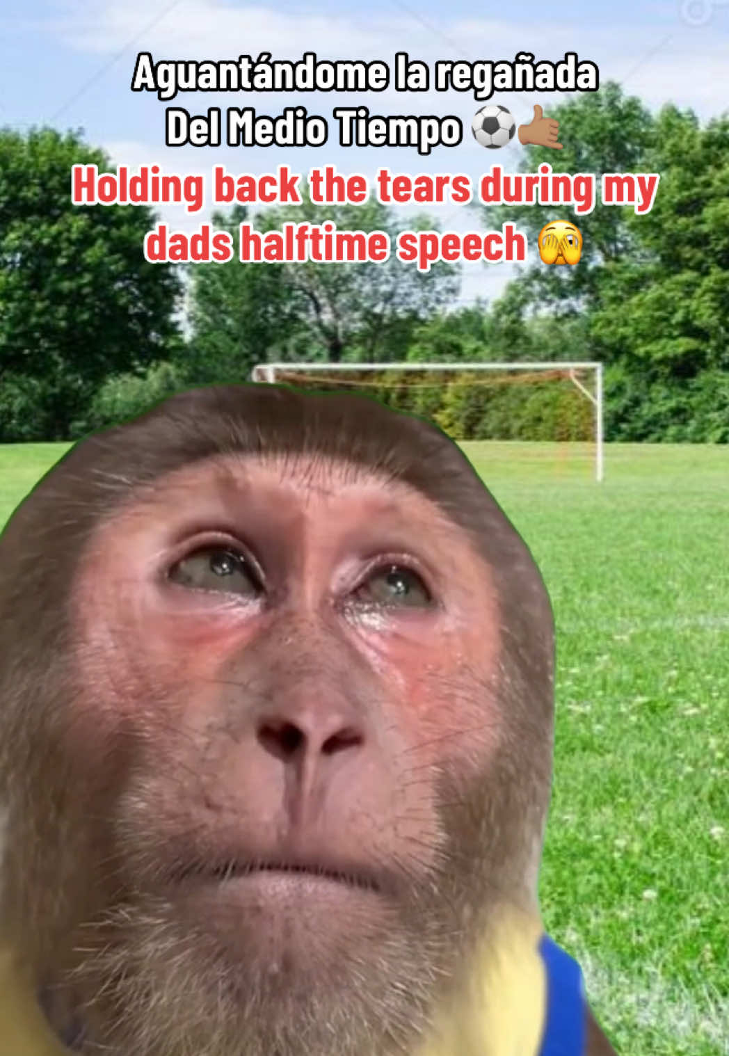 Mexican Dads be giving the worst halftime speeches to motivate you on that Sunday league game ⚽️😭🇲🇽 #mexican #mexicosoccer #sundayleague #Soccer #footy 