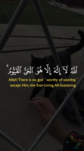 Recite Quran💚💚 #quranrecitation #quran_alkarim  #growmyaccount #muhammad#CapCut 