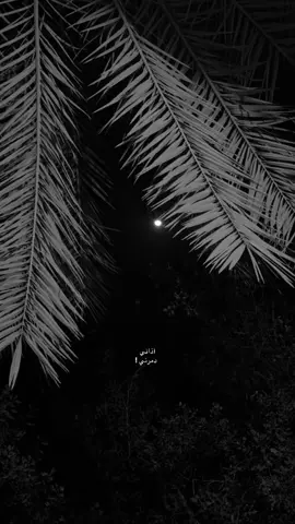 لاتحملني سبب كل الي صار…#foryoupage #dancewithpubgm #dancechallenge #capcut #tiktok ,اكسبلور،ليش جاي ؟