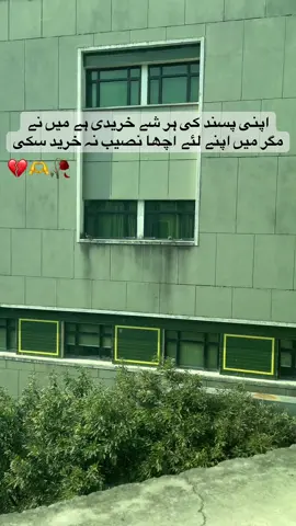 اپنی پسند کی ہر شے خریدی ہے میں نے مگر میں اپنے لئے اچھا نصیب نہ خرید سکی #rnwithcamera  #shifainternationalhospital_islambad  #standwithkasmir  #1millionviews  #donunderreviewmyvideo 