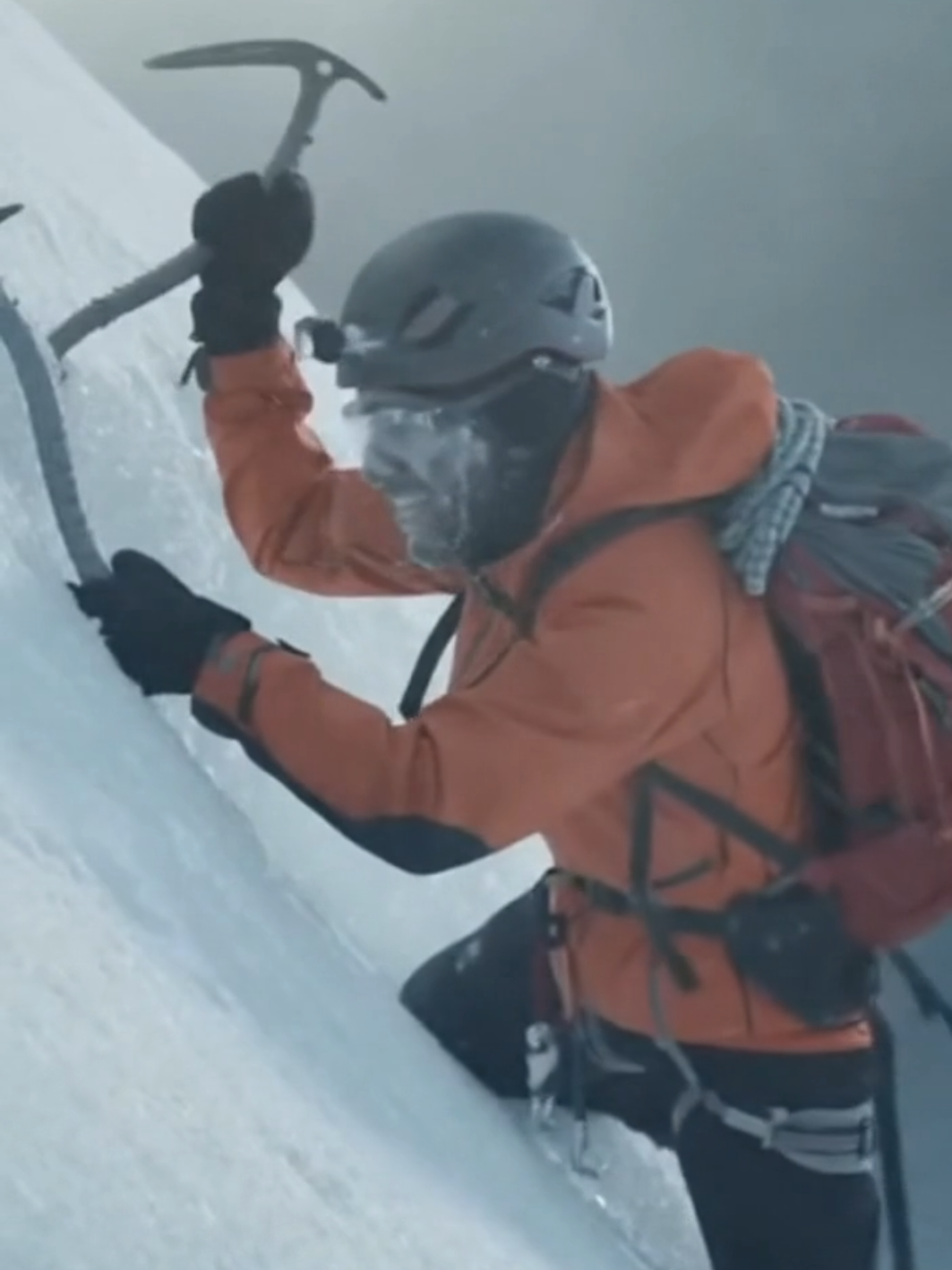 🏔🍦🐕 Когда твоя гора — мороженое! #funny #мороженое #собака #приключения #viral 