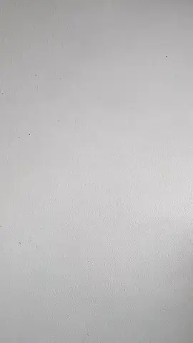 Nokia N80 Silver #video #nokia #tiktok #nokiaconectingpeople #oldphone 