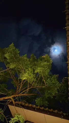 เงยหน้าขึ้นไปบนท้องฟ้า ได้แต่สงสัยว่า “ เราเป็นใครในหมู่ดวงดาว” #iphonetimelapse #iphone #nightsky #ท้องฟ้า #sky 