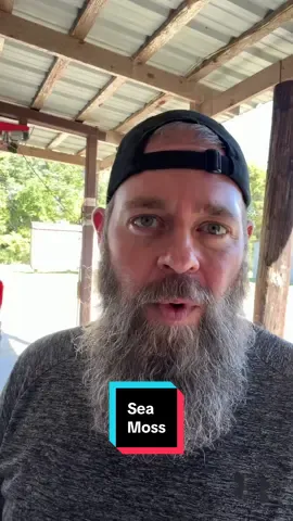 Most multivitamins are made in a lab—but this Irish Sea Moss from Snap Supplements is 100% natural. Packed with 90+ essential minerals, it’s the clean, plant-based alternative to synthetic pills. Supports energy, immunity, digestion, and overall wellness—without the fillers. If you’re ready to swap out your daily multivitamin for something your body actually recognizes, this is the way to go. 🌱💪  #MultivitaminAlternative #TikTokShopCreatorPicks #TikTokShopBlackFriday #CreatorIcons #HealthMustHaves 