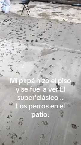 😂😂😂😂 mis perrohijos haciendo cagada.              #humor #perros 