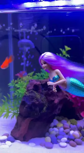 MEMELIHARA IKAN DUYUNG MINI DI DALAM AQUARIUM?! 😱 | Eksperimen Aneh @whoisbombom ⸻ 📖 Deskripsi: Pernah kebayang punya ikan duyung mini di rumah? 😆 Di video kali ini, @whoisbombom mencoba hal paling absurd — memelihara ikan duyung berukuran 10 cm di dalam aquarium kaca bening! Bentuknya imut, setengah manusia setengah ikan, tapi tetap aja… ngeliat dia berenang sambil melambaikan tangan itu bikin merinding! 😳✨ Aquarium-nya penuh detail — ada batu karang mini, gelembung oksigen halus, dan pencahayaan biru laut yang bikin suasananya terasa seperti di bawah laut beneran 🌊 Apakah ikan duyung mini ini bisa bertahan hidup di air tawar? Atau justru bakal berubah jadi sesuatu yang misterius? 👀 Tonton sampai habis, dan jangan lupa tulis di kolom komentar: 👉 “Gue mau juga pelihara duyung mini!” kalau kamu berani coba! ⚠️ Disclaimer: Semua visual, karakter, dan kejadian dalam video ini dibuat menggunakan teknologi AI. Tidak ada makhluk nyata yang terluka atau benar-benar dipelihara. Video ini dibuat untuk hiburan dan eksplorasi kreatif semata. 🧜‍♀️✨ ⸻ 🏷️ Hashtags: #whoisbombom #ikanDuyungMini #AIvideo #sora2 #videoviral #eksperimenabsurd #duyung #aquaLife #AIcreation #cinematicAI #MiniMermaid #fyp #viralindonesia #absurdtiktok #sora2ai #whoisbombomAI #aquamystery #duyungkecil #aivlog #kenkenvibes #shorts