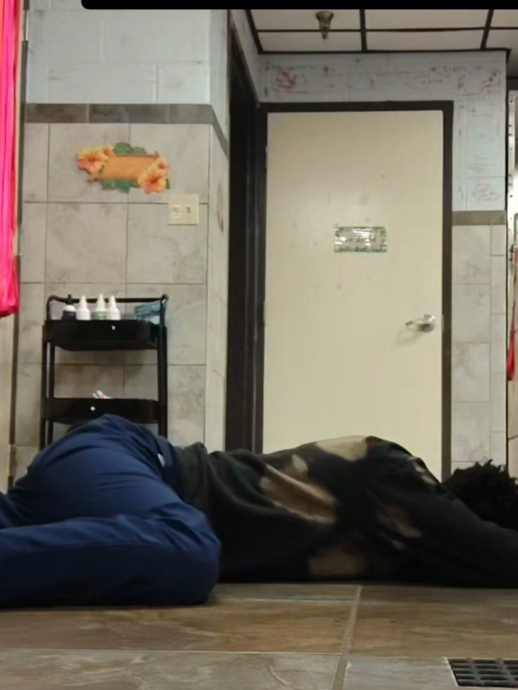 German shepherds with hats#xyzbca #germanshepherd #fyp @i20animals  #llamaswithhats #foryoupage 