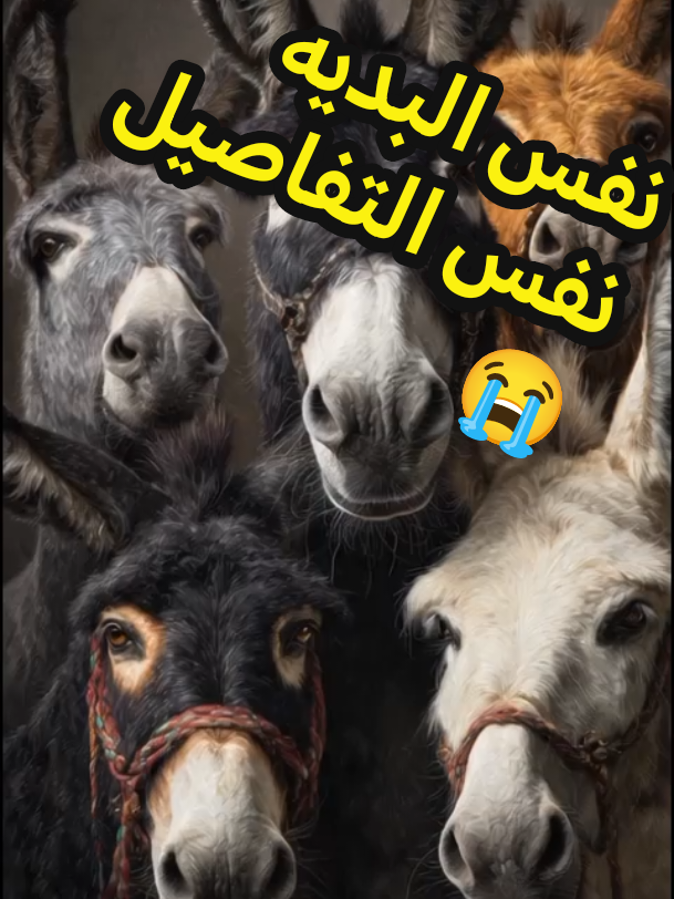 نفس البديه نفس التفاصيل😭#whattowatch #كلمه_تغير_حياتك💡 #مشاهدات #خواطر #تحفيز. 