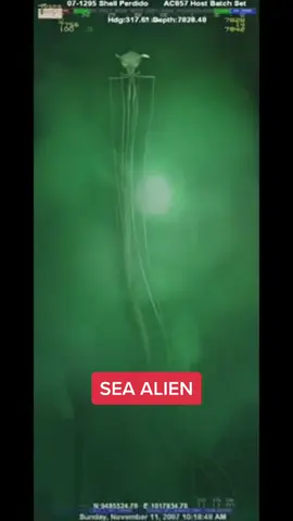 #Spooktember2020 is here, and we're counting down to #Halloween2020 with chilling stories that'll haunt your dreams! Join the #TikTokHorror journey if you're brave enough. Calling all #HorrorFans, are you ready for spine-tingling tales? Tap in and prepare to be spooked! 🎃👻 #HorrorTikTok #HorrorStory #TikTokHorrorStory #Filmmaking #FilmProduction #MakeMovies #FilmProducer