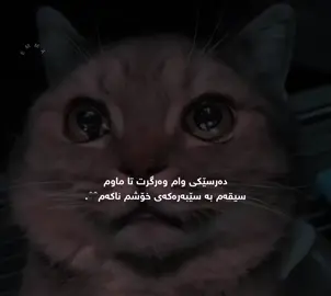 #foryou #Acc #hashtag #fyp #foryouuu 