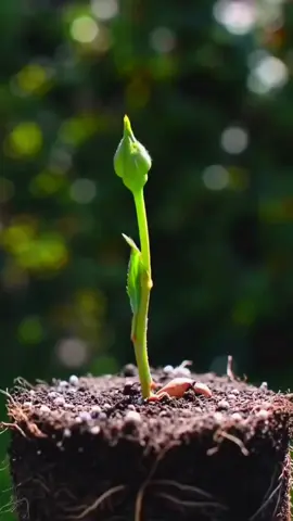 #duroodshareef #duroodibrahimi #صلى_على_رسول_الله_صل_الله_عليه_وسلم #صلى_على_رسول_الله_صل_الله_عليه_وسلم 🌹🌹🌹🌹🌹🌹🌹🌹🌹🌹🌹🌹🌹🌹🌹🌹🌹🌹🌹🌹🌹🌹❤️❤️❤️❤️❤️❤️❤️❤️❤️❤️❤️❤️❤️❤️❤️❤️❤️❤️❤️❤️❤️❤️❤️