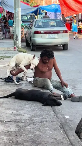 #fy#paratiiiiiiiiiiiiiiiiiiiiiiiiiiiiiii #mejoresamigos #perros #compas 