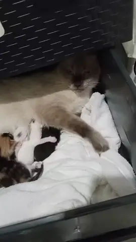 الانتي تبقي انتي❤️😘🥰