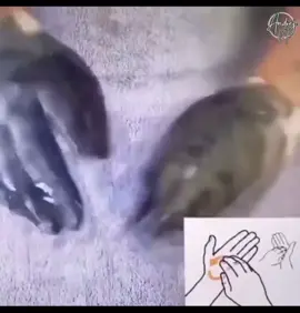 El yıkama da bir bilimdir #hijyen #yıkama #sabun #kozmetik #viral 