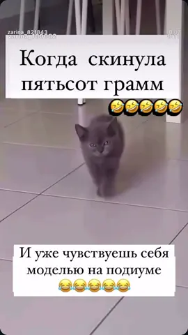 Юмора в ленту для поднятия настроения #юмор #веселье #котик #блогснуля #лайк